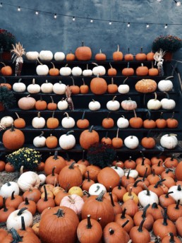 The mom of fall